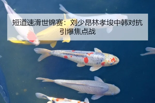 短道速滑世锦赛：刘少昂林孝埈中韩对抗引爆焦点战