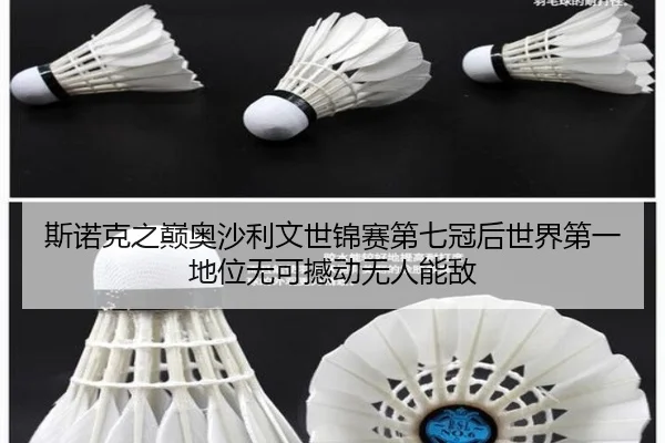 si-nuo-ke-zhi-dian-ao-sha-li-wen-shi-jin-sai-di-qi-guan-hou-shi-jie-di-yi-di-wei-wu-ke-han-dong-wu-ren-neng-di-2-946.jpg
