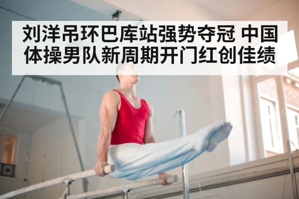 chinese gymnastics team